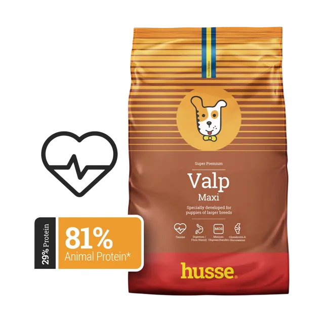 Husse Valp Maxi – —