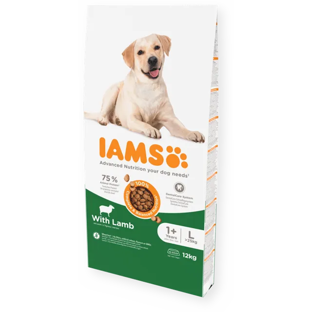 Iams Advanced Nutrition Adult Large Breed – With Lamb