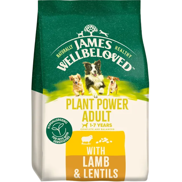 James Wellbeloved Plant Power Adult – Lamb