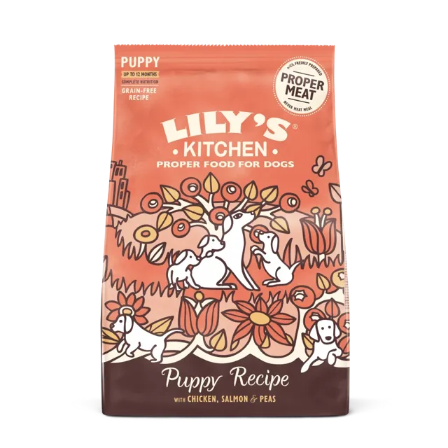 Lily's Kitchen Dry Puppy – —