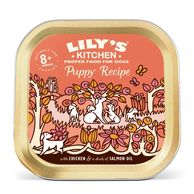 Lily's Kitchen Trays Puppy – —