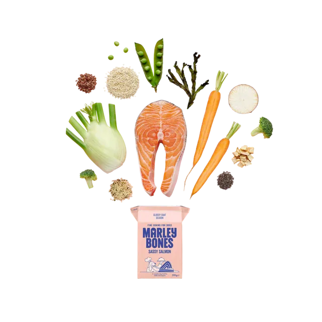 Marleybones – Sassy Salmon