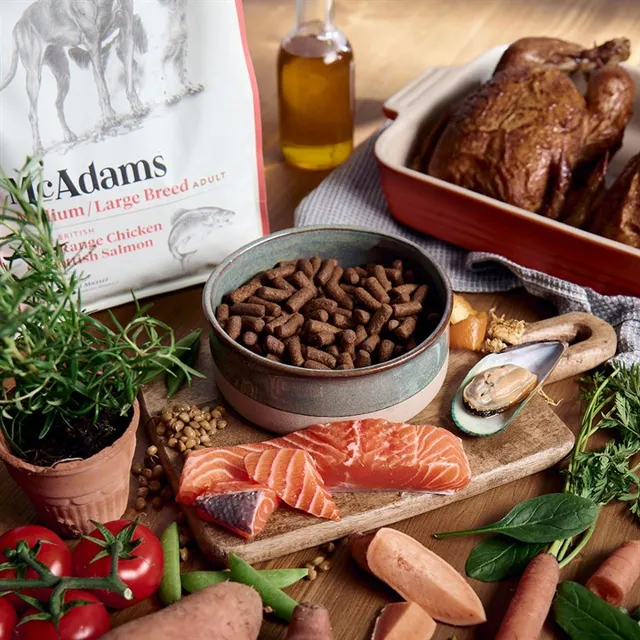McAdams Large Breed – Free Range Chicken & Scottish Salmon