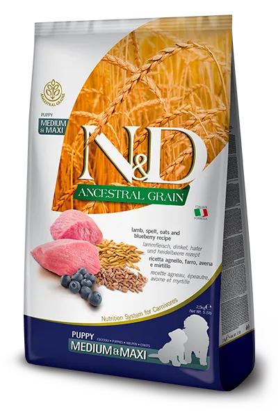 N&D Ancestral Grain Puppy Medium & Maxi – —