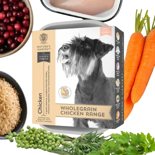 Nature's Harvest Adult – Chicken