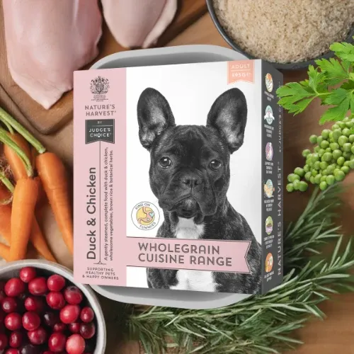 Nature's Harvest Adult – Duck