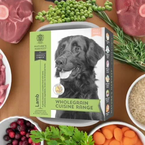 Nature's Harvest Adult – Lamb