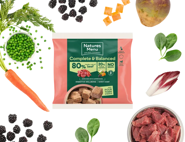 Natures Menu Complete & Balanced 80/20 Nuggets – Beef