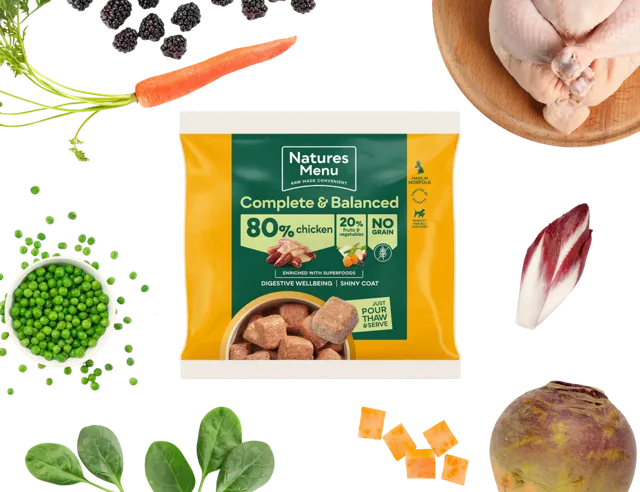 Natures Menu Complete & Balanced 80/20 Nuggets – Chicken