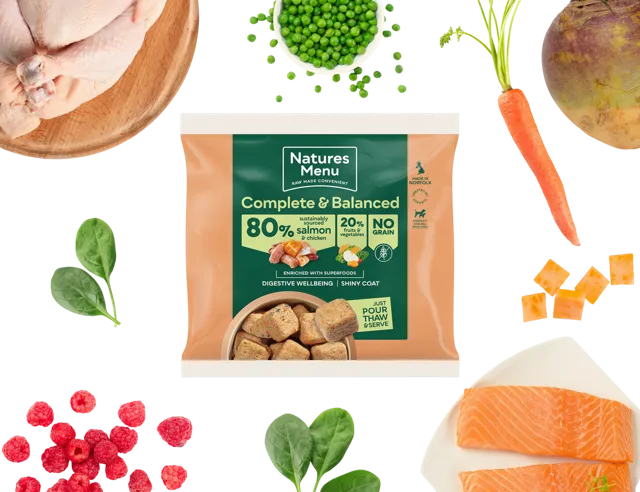 Natures Menu Complete & Balanced 80/20 Nuggets – Salmon & Chicken