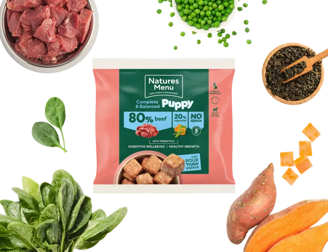 Natures Menu Complete & Balanced Puppy 80/20 – Beef