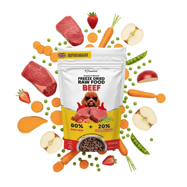 NutriPaw Freeze Dried Raw Food – Beef