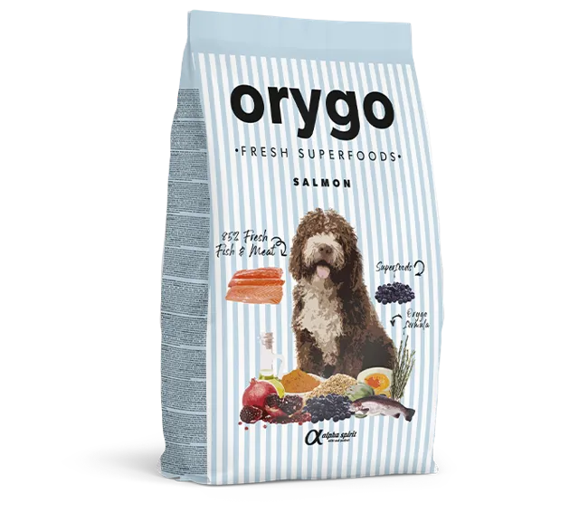 Orygo Adult Dry – Salmon with Blueberries