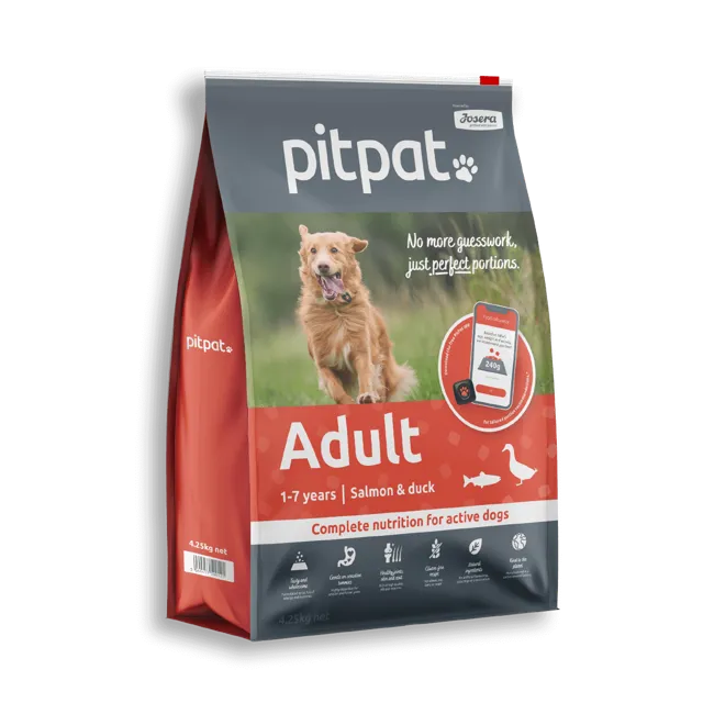 PitPat Adult Dry – —