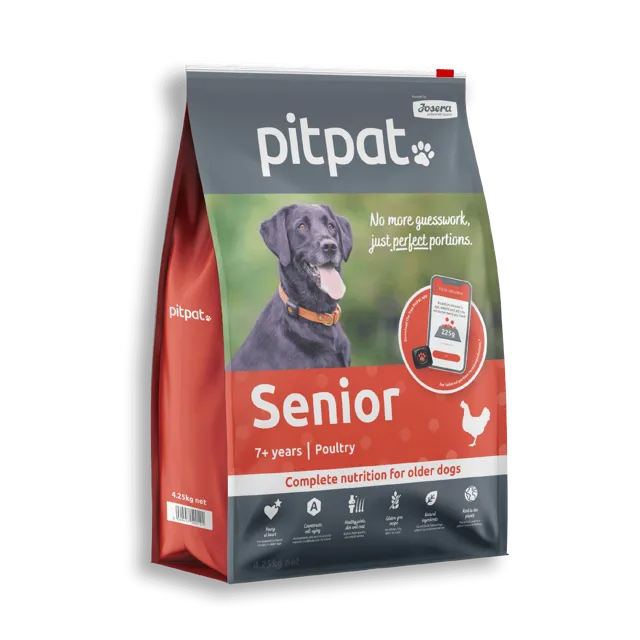 PitPat Senior Dry – —