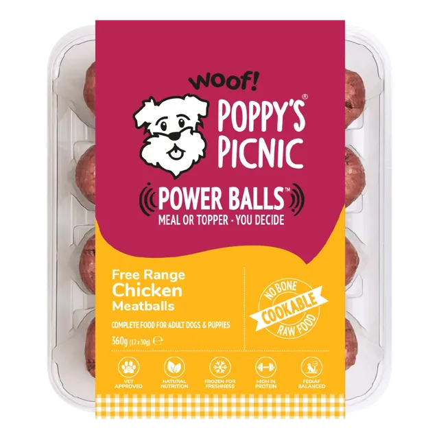 Poppy's Picnic Power Balls – Chicken Meatballs