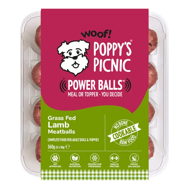 Poppy's Picnic Power Balls – Lamb Meatballs