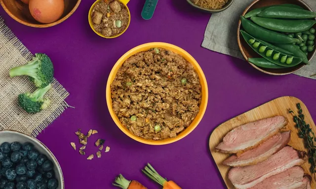 Pure Pet Food – Duck with a Medley of Veggies & Bursts of Blueberry