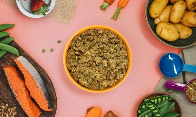 Pure Pet Food Sensitive – Salmon with white fish, carrot & plenty of peas
