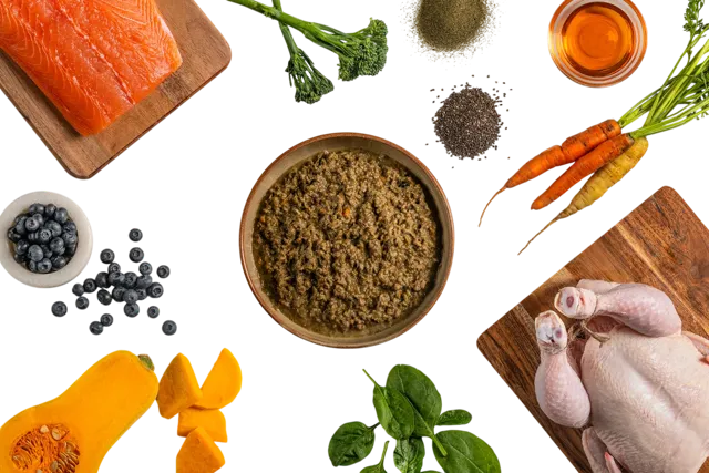 RaaW Adult Dog Food – Salmon