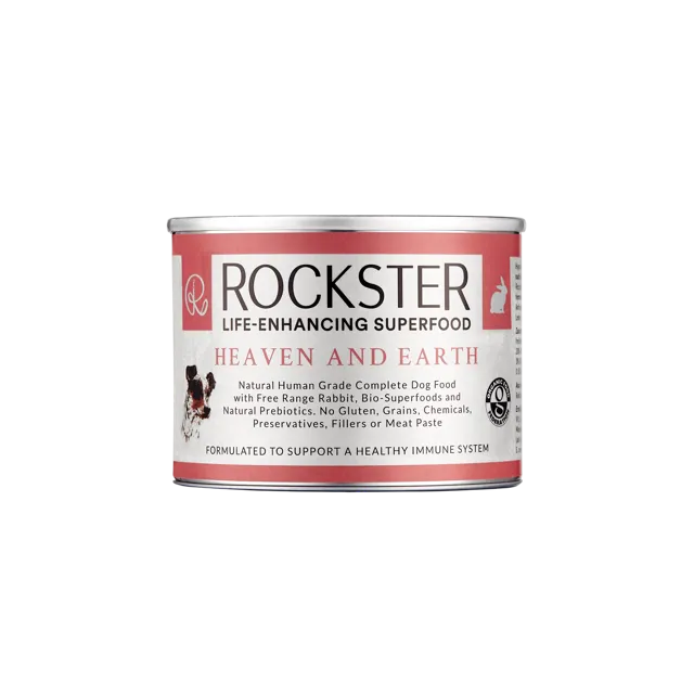 Rockster – Heaven and Earth