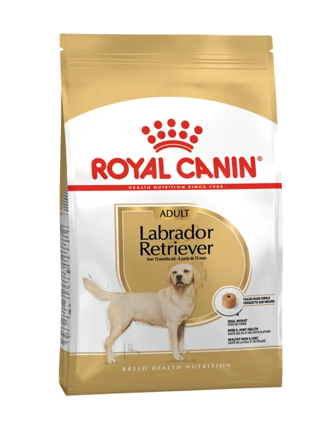 Royal Canin Labrador Retriever Adult – —