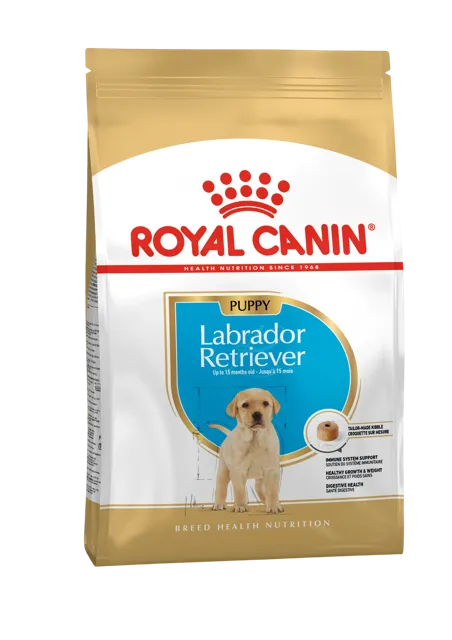 Royal Canin Labrador Retriever Puppy – —