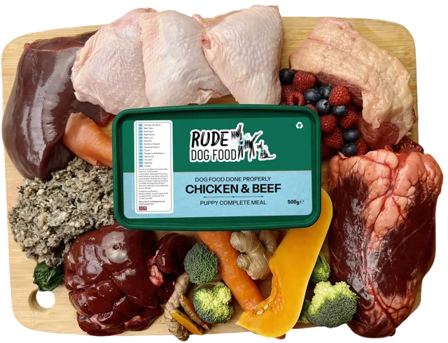 Rude Dog Food Puppy – —
