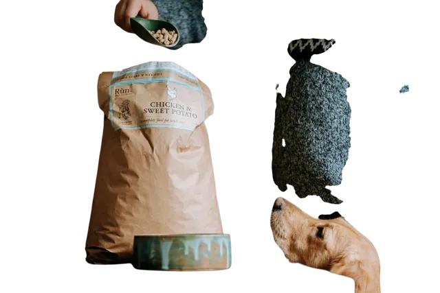 Run Premium Cold Pressed – Chicken & Sweet Potato