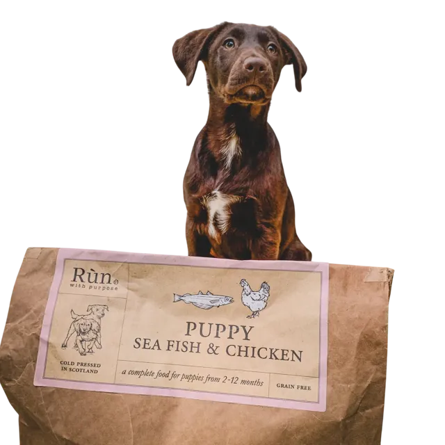 Run Premium Cold Pressed – Puppy - Sea Fish & Chicken