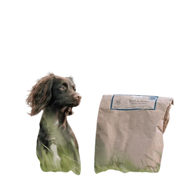 Run Working Dog Cold Pressed – Beef
