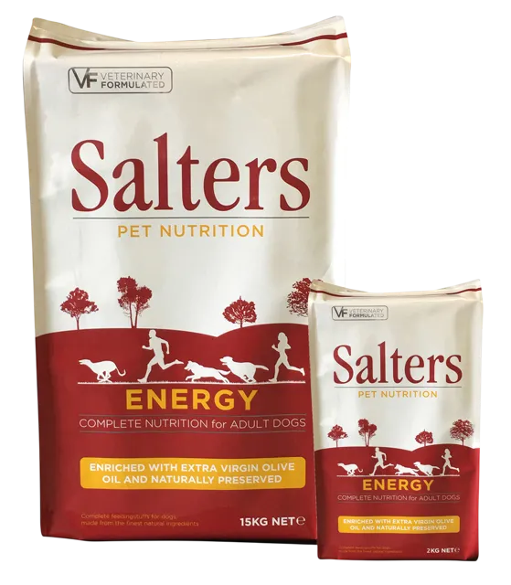 Salters Energy – —