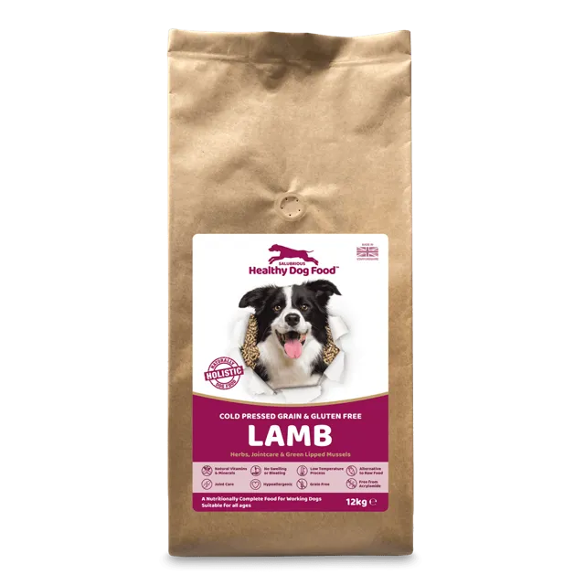 Salubrious Healthy Dog Food Cold-Pressed Grain and Gluten Free – Lamb