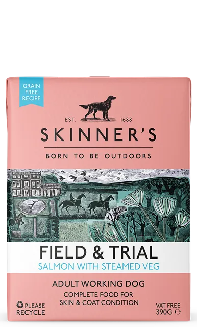 Skinner's Field & Trial Wet Foods Adult – Salmon With Steamed Veg