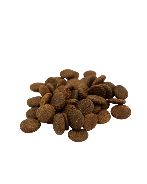 Skipper's Working Dog Food – Salmon, Trout & Sweet Potato