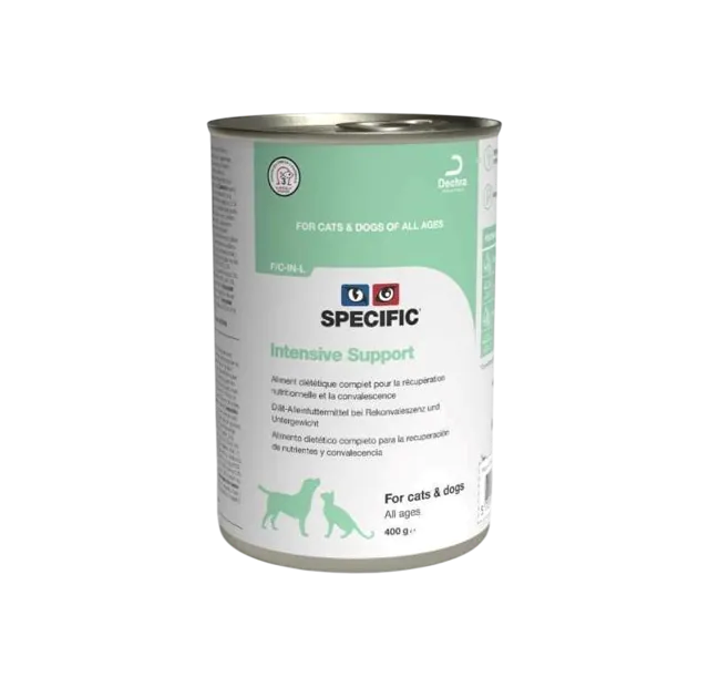 Specific F/C-IN-L Intensive Support – —