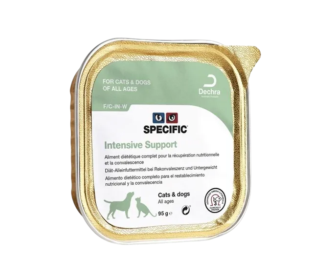 Specific F/C-IN-W Intensive Support – —