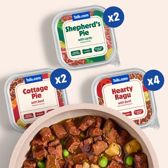 Tails.com Recipes in Gravy – Hearty Ragu with Beef, Pasta & Peppers