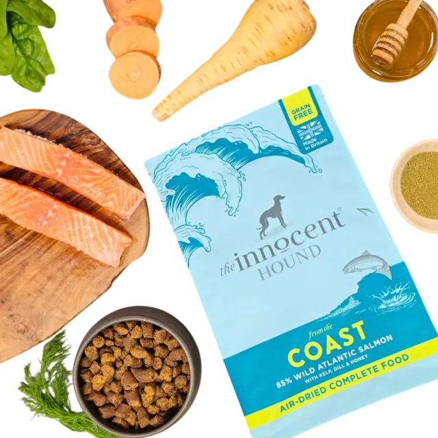 The Innocent Hound From The British Countryside Recipes – From the Coast