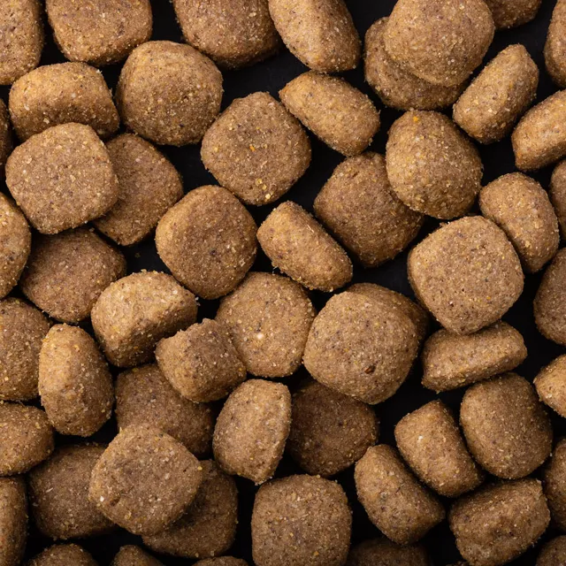 Trophy Lifestyle Working Dog Chicken & Corn – —