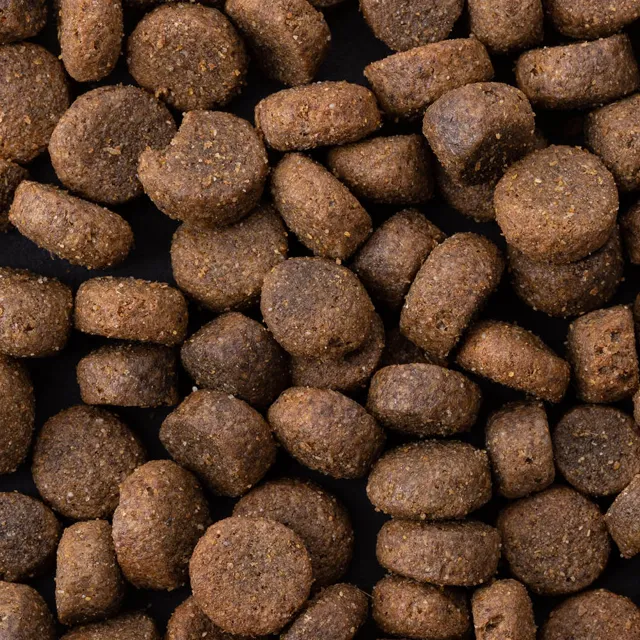 Trophy Premium Hypo-allergenic – —