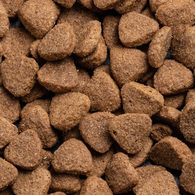 Trophy Standard Working Dog – Chicken