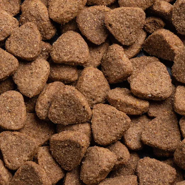 Trophy Standard Working Dog – Meaty