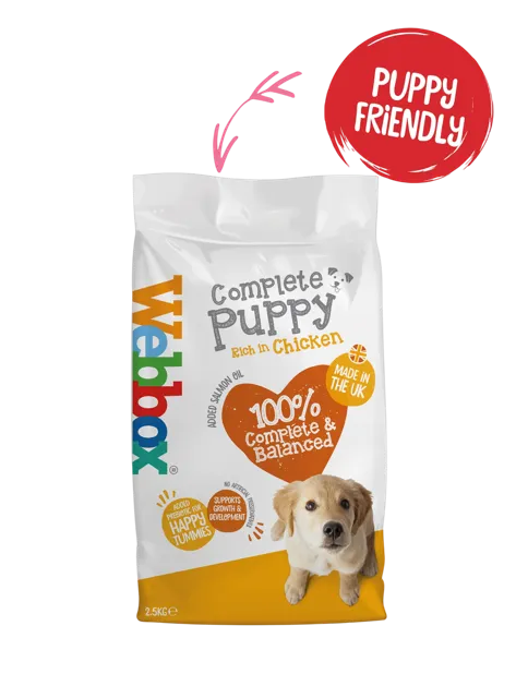 Webbox Everyday Complete Dry Puppy – —