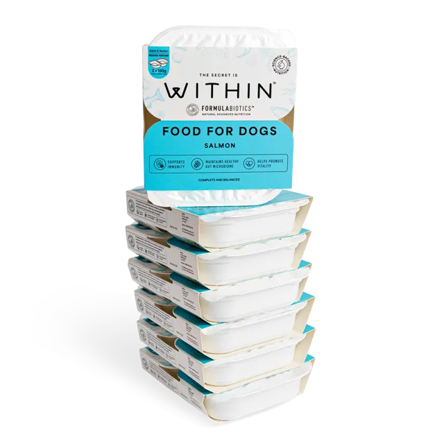 Within Adult & Senior Wet – Salmon