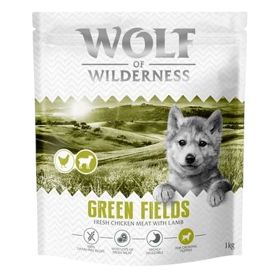 Wolf Of Wilderness Dry Junior – Green Fields