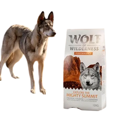 Wolf Of Wilderness Explore – Mighty Summit Performance