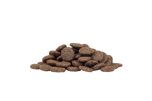 WorkingHPRs Grain Free Adult – Lamb, Sweet Potato & Mint