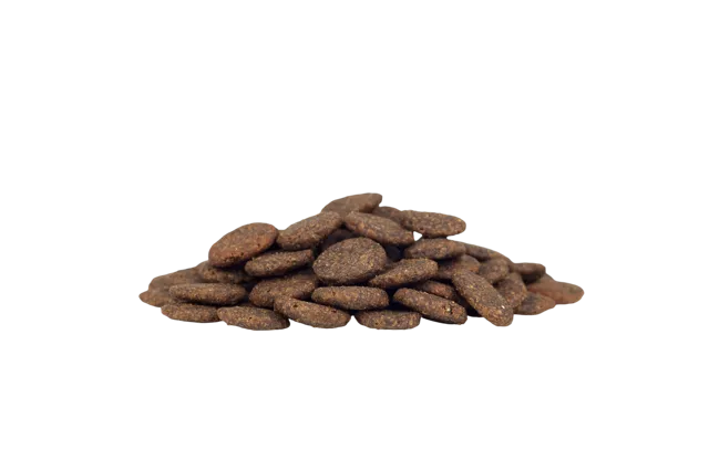 WorkingHPRs Grain Free Adult – Venison, Sweet Potato & Mulberry