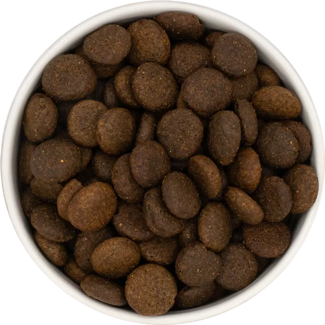 WorkingHPRs Grain Free Large Breed – Salmon with Trout, Sweet Potato & Asparagus